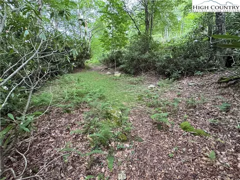 tbd Buckeye Ridge Roadbeech Mountain Pkwy, Beech Mountain, NC 28604 photo 22