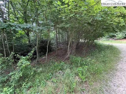 tbd Buckeye Ridge Roadbeech Mountain Pkwy, Beech Mountain, NC 28604 photo 14