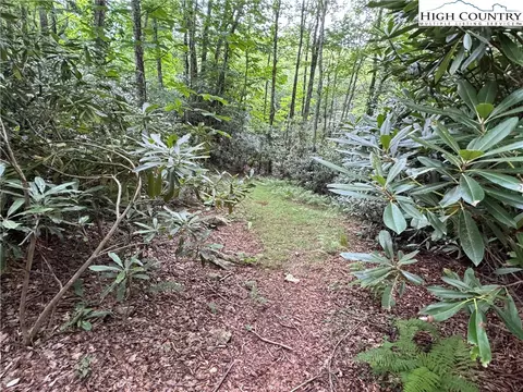 tbd Buckeye Ridge Roadbeech Mountain Pkwy, Beech Mountain, NC 28604 photo 8