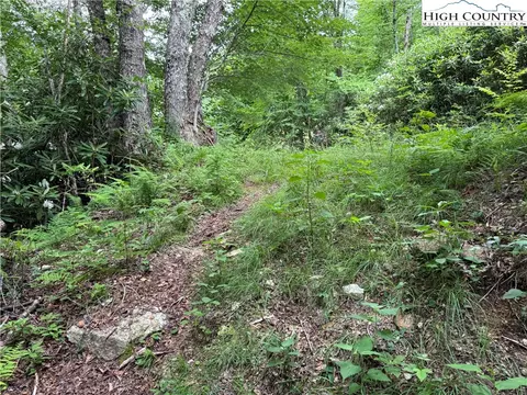 tbd Buckeye Ridge Roadbeech Mountain Pkwy, Beech Mountain, NC 28604 photo 24