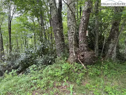 tbd Buckeye Ridge Roadbeech Mountain Pkwy, Beech Mountain, NC 28604 photo 13