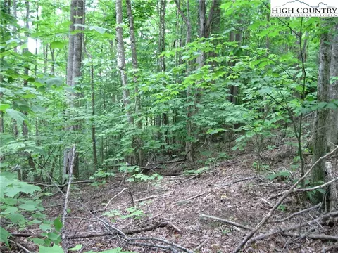 120 Sassafrass Rd, Beech Mountain, NC 28604