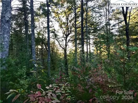 lot309 1211 Winding Creek Way, Lenoir, NC 28645
