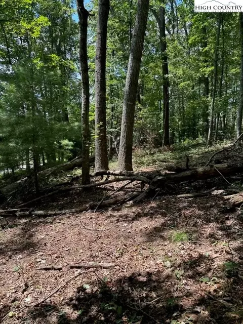 lot26 Riverside Dr, Sparta, NC 28675