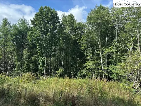 0 Guy Neaves Rd, Crumpler, NC 28617 photo 3
