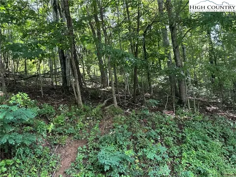 0 Guy Neaves Rd, Crumpler, NC 28617 photo 6
