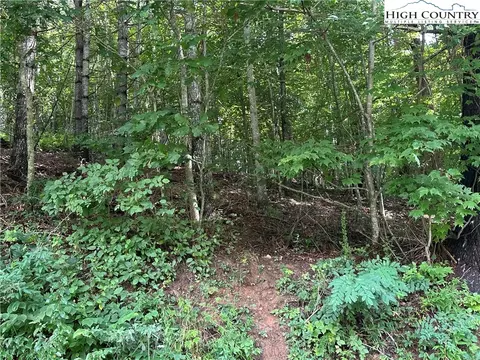 0 Guy Neaves Rd, Crumpler, NC 28617 photo 7