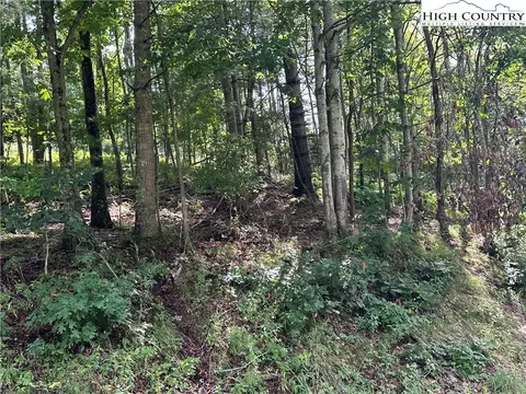 0 Guy Neaves Rd, Crumpler, NC 28617 photo 5