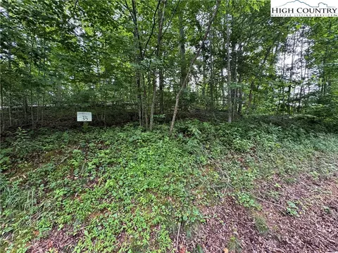 tbd Wishing Waters Edge, Creston, NC 28615 photo 3