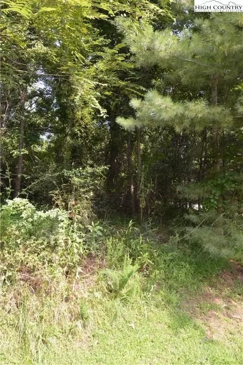 lot Apt 15 Riverwalk Dr, Sparta, NC 28675 photo 8