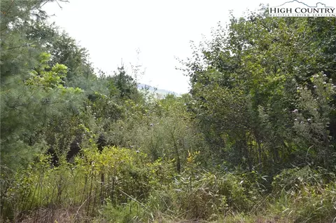 lot Apt 15 Riverwalk Dr, Sparta, NC 28675 photo 10