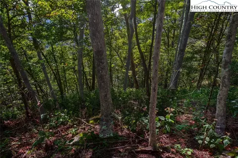 lot S 8 9 Rocky Top Trl, Seven Devils, NC 28604 photo 29