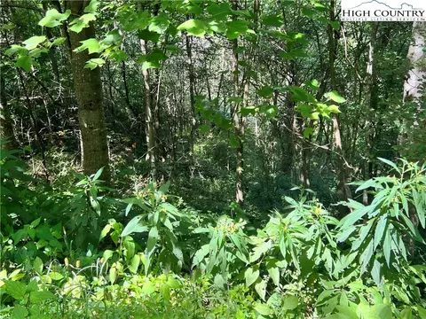 lot7 Old Barn Rd, Vilas, NC 28692