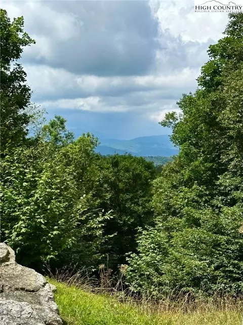 11 Fox Crest Rd, Beech Mountain, NC 28604 photo 3