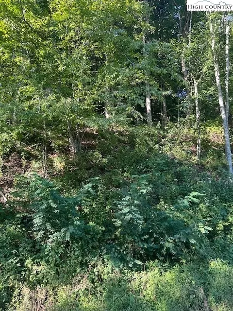 563 Rock Creek Rd, Creston, NC 28615