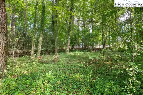 tbd Hamby Mountain Rd, Purlear, NC 28665 photo 11