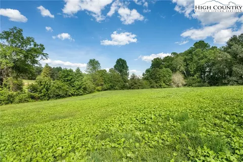 tbd Hamby Mountain Rd, Purlear, NC 28665 photo 4