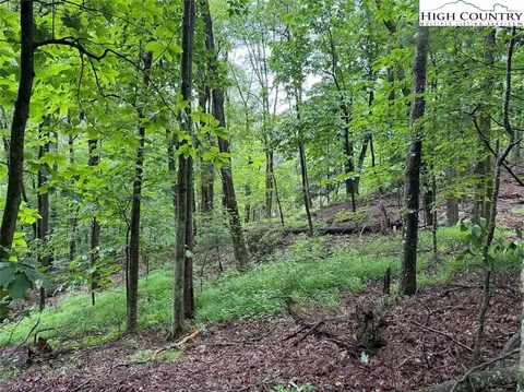 tbd Rattlesnake Mountain Rd, Laurel Springs, NC 28644