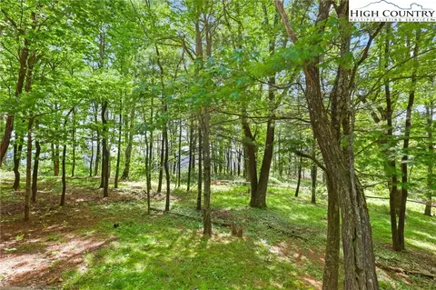 Exterior - 151 Cascade Dr, Purlear, NC 28665 photo 7 of 15
