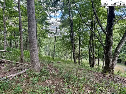 tbd Lot Apt 5 Mystery Mountain Dr, West Jefferson, NC 28694