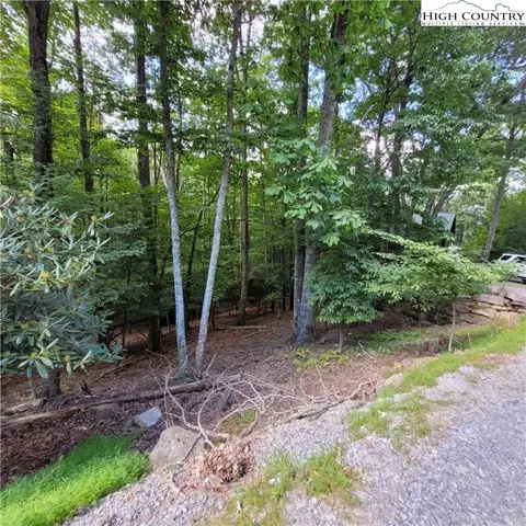201 Jackpine Rd, Beech Mountain, NC 28604 photo 3