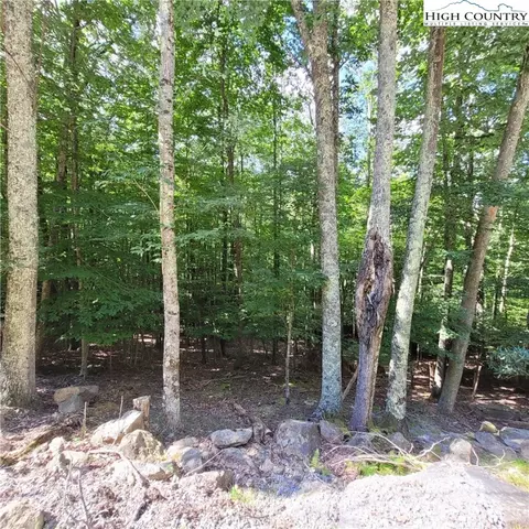 201 Jackpine Rd, Beech Mountain, NC 28604 photo 8