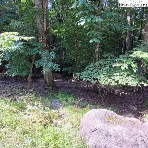 201 Jackpine Rd, Beech Mountain, NC 28604 photo 5