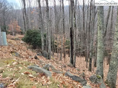 201 Jackpine Rd, Beech Mountain, NC 28604 photo 4