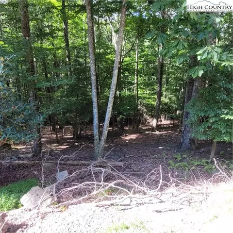 201 Jackpine Rd, Beech Mountain, NC 28604