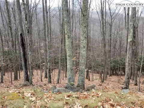 201 Jackpine Rd, Beech Mountain, NC 28604 photo 11
