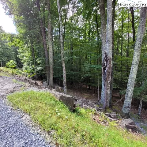 201 Jackpine Rd, Beech Mountain, NC 28604 photo 10