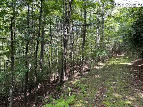 tbd Cherry Dr, Jefferson, NC 28640 photo 5