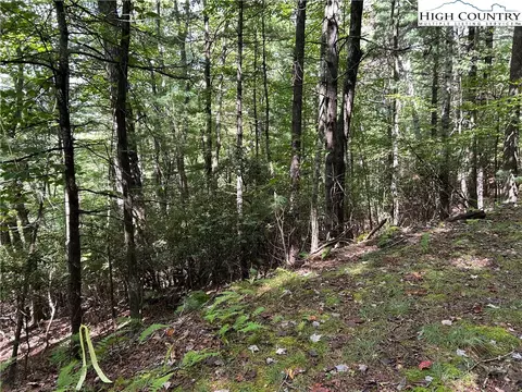 tbd Cherry Dr, Jefferson, NC 28640 photo 3