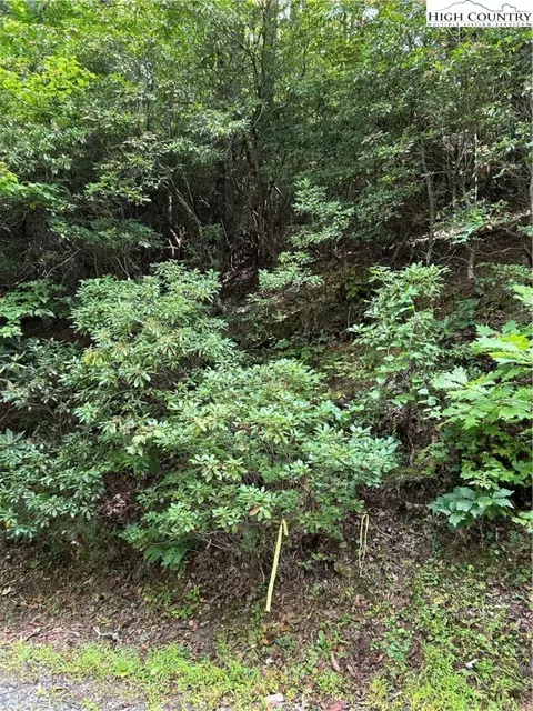 tbd Cherry Dr, Jefferson, NC 28640 photo 4