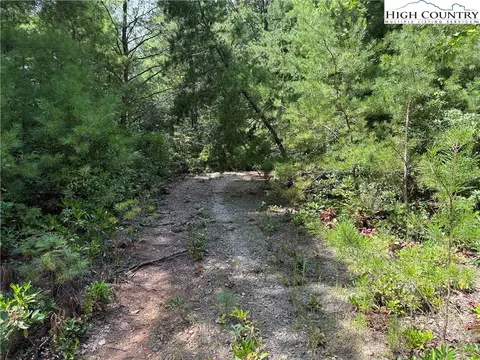 lot163 Staghorn Rd, Purlear, NC 28665 photo 2