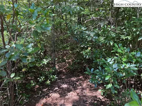 lot163 Staghorn Rd, Purlear, NC 28665 photo 6