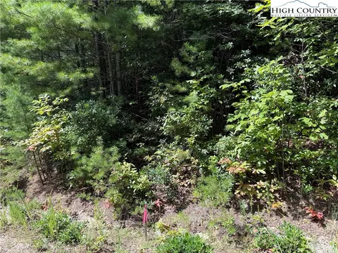 lot163 Staghorn Rd, Purlear, NC 28665 photo 11