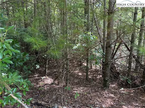lot163 Staghorn Rd, Purlear, NC 28665 photo 10