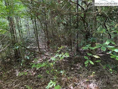 lot163 Staghorn Rd, Purlear, NC 28665 photo 8