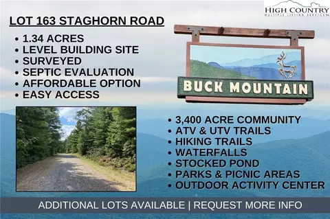 lot163 Staghorn Rd, Purlear, NC 28665