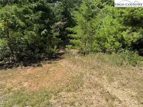 lot163 Staghorn Rd, Purlear, NC 28665 photo 5