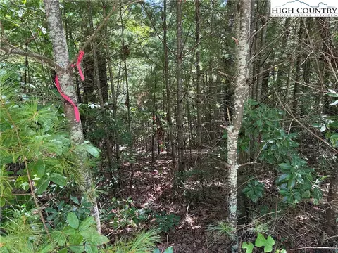 lot163 Staghorn Rd, Purlear, NC 28665 photo 12