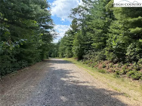 lot163 Staghorn Rd, Purlear, NC 28665 photo 4