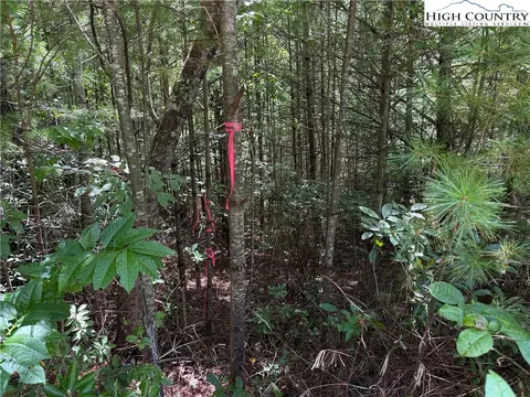 lot163 Staghorn Rd, Purlear, NC 28665 photo 9