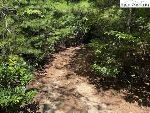 lot163 Staghorn Rd, Purlear, NC 28665 photo 7
