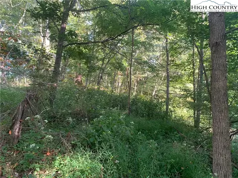 0 Big Windfall Rd, Lansing, NC 28643 photo 16