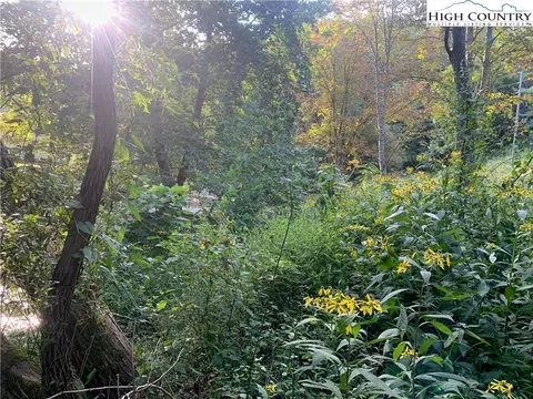 0 Big Windfall Rd, Lansing, NC 28643 photo 37