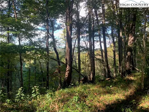0 Big Windfall Rd, Lansing, NC 28643 photo 15