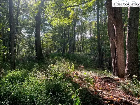 0 Big Windfall Rd, Lansing, NC 28643 photo 17
