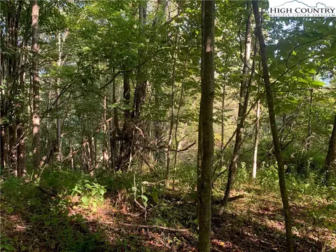 0 Big Windfall Rd, Lansing, NC 28643 photo 31